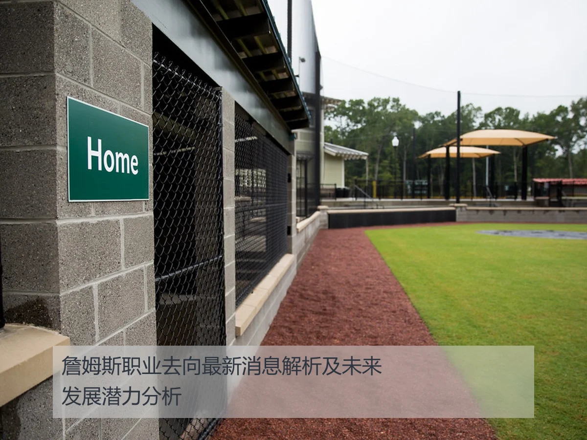 詹姆斯职业去向最新消息解析及未来发展潜力分析